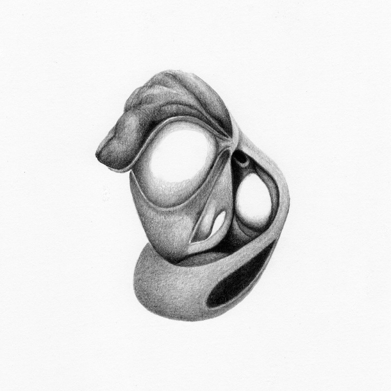 Graphite on paper, 2013. &copy; Kyriakos Papageorgiou